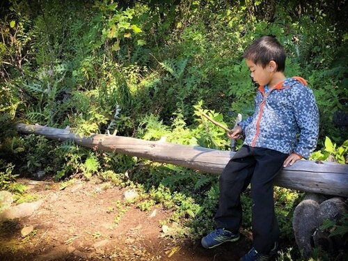 A boy at the Monarch Butterfly Sanctuary in Mexico, an example of families and children exploring nature