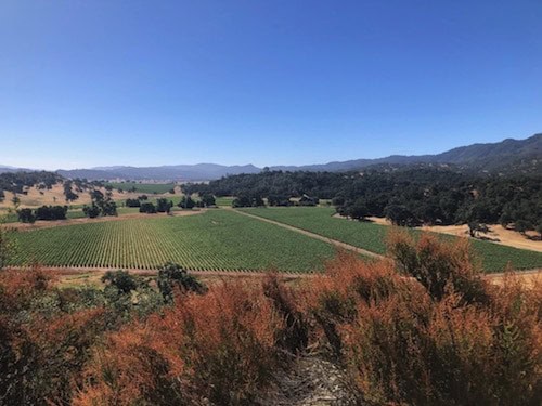 The View from Ancient Peaks Winery in Paso Robles