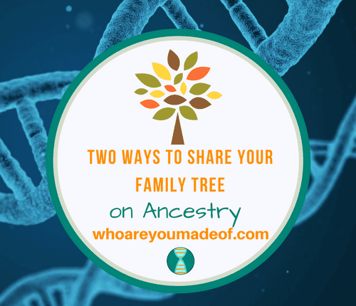 Two Ways to Share Your Family Tree on Ancestry_ How to Share Your Tree