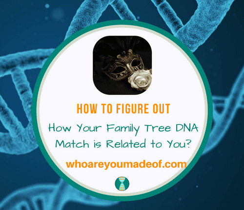 How to Figure Out How Your Family Tree DNA Match is Related to You_