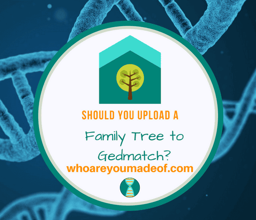 Should You Upload a Family Tree to Gedmatch_
