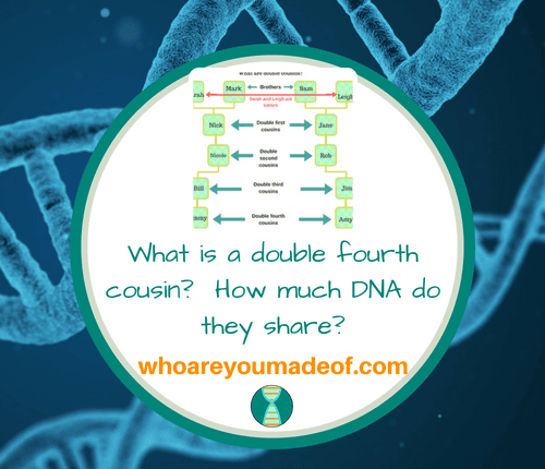 What is a double fourth cousin_ How much DNA do they share_