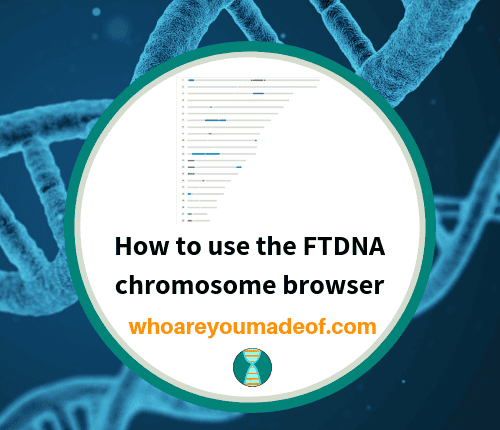 How to use the FTDNA chromosome browser