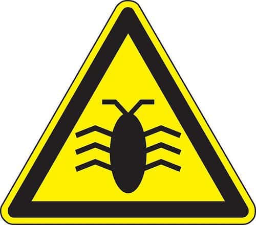 The Right Scenario for Reporting a Bug in Repro Steps