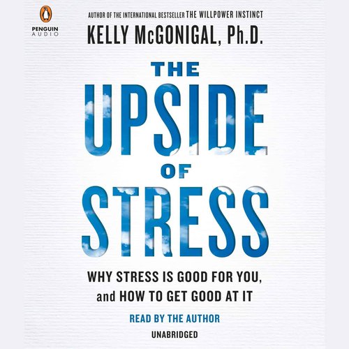 Dealing with Stress and Being a Manager: Jason Evanish, CEO of Lighthouse, on the Crazy Wisdom Podcast 1 the upside of stress