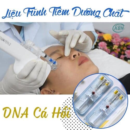 dich-ca-hoi-min