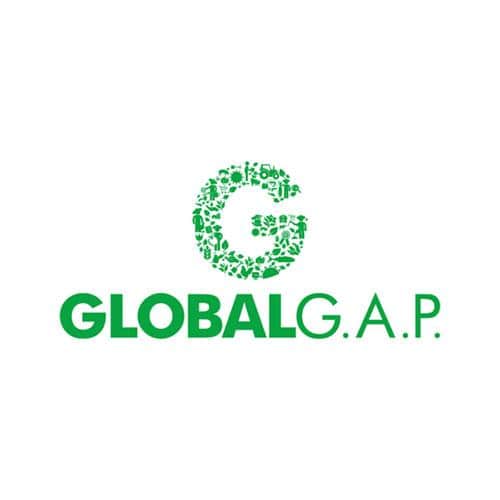 3-frantoio-principe-paviro-torremaggiore-certificazione-global-gap