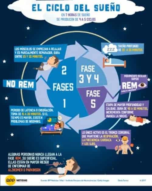 Ciclo del sueño