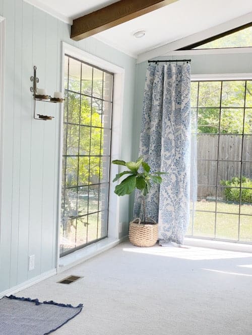 fiddle leaf fig tree in front of blue pattered curtains