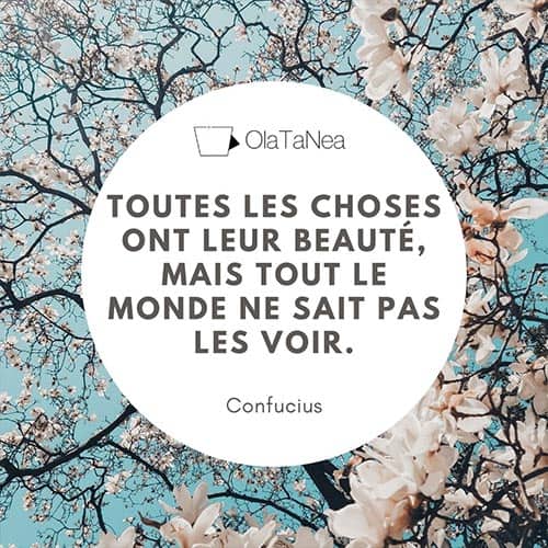 Citation Développement Personnel Confucius
Toutes les choses ont leur beauté, mais tout le monde ne sait pas les voir.