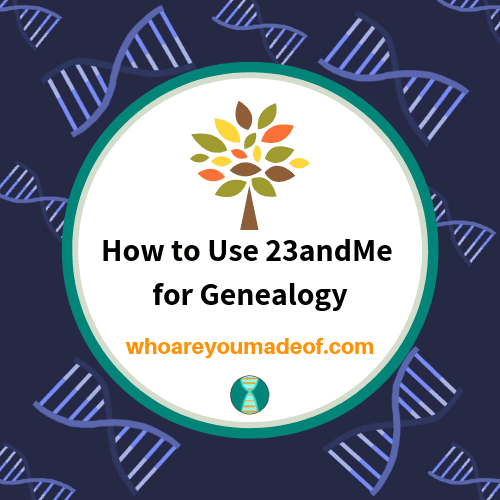 How to Use 23andMe for Genealogy