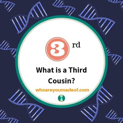 What is a Third Cousin_