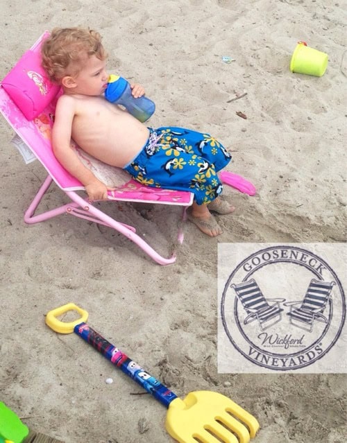 Gooseneck Wines rules for the beach