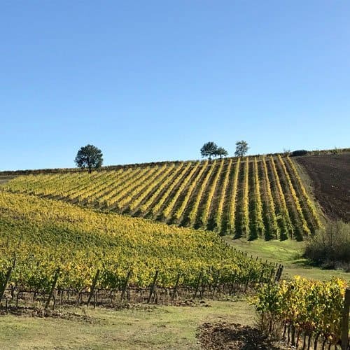 brunello walking tour
