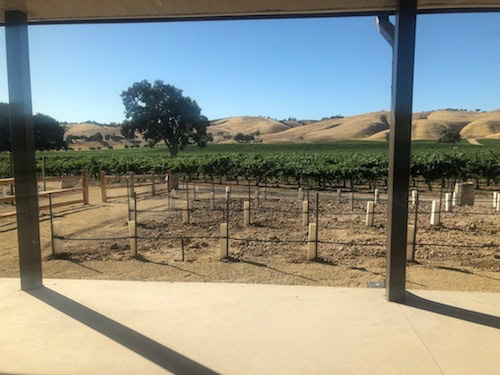 Cass Winery in East Paso Robles
