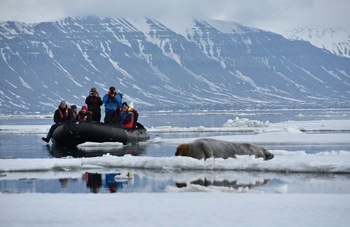 Take a Zodiac Excursion in Svalbard from the ship to see wildlife.