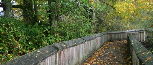A walkway through nisqually refuge delta