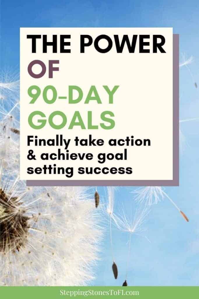 Closeup of dandelion blowing in the wind and text "The power of 90-day goals, finally take action and achieve goal setting success"