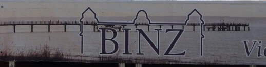 BINZ logo