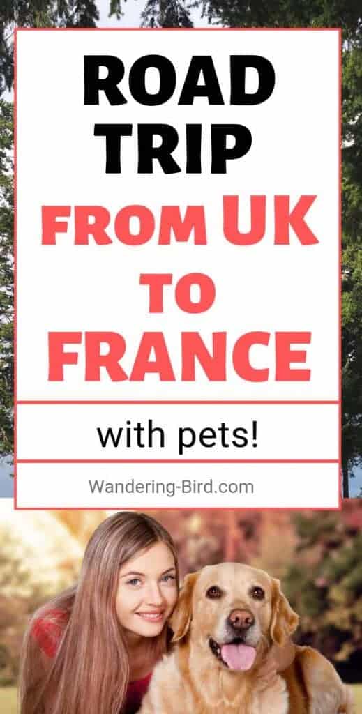 Enjoy travelling with your pet? Want to take your dog to UK or France? Here's how to get between the two without upsetting your pet or leaving them in the car. #pettravel #roadtriptips #UK