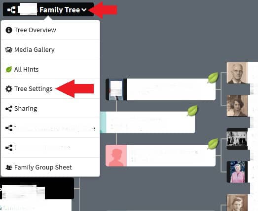 how to download family tree on ancestry to gedcom. First, access tree settings from your main family tree view