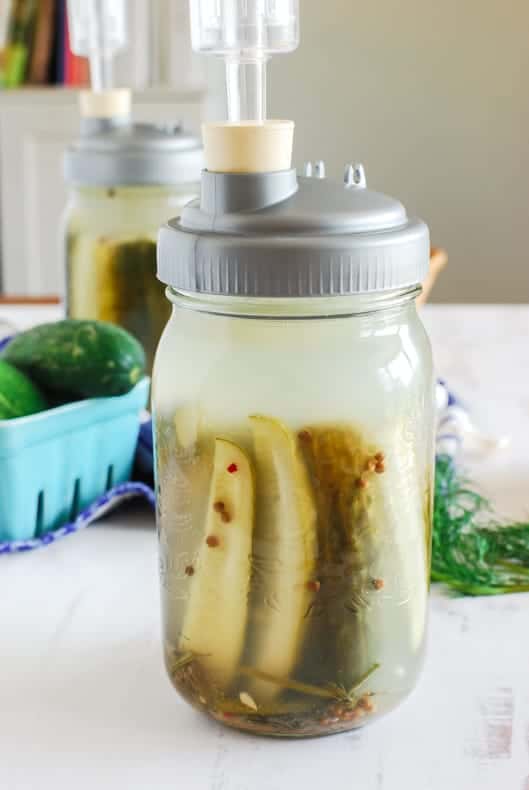 Close up of a jar showing all the ingredients for the pickles inside.