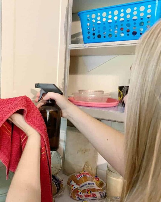 woman cleaning cabinet