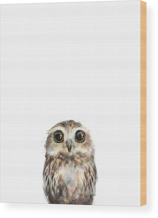 owl wall art