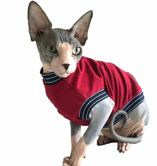 Sphynx Cat Clothes Pattern Testing The Tailoress