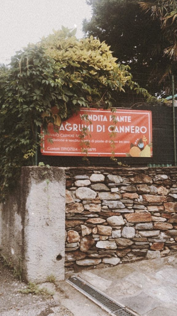 cannero