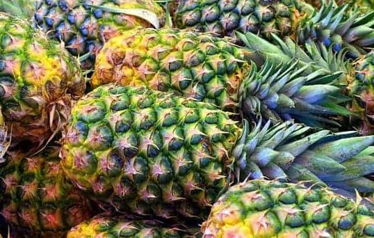 frutas frescas de abacaxi