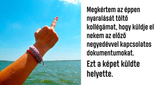 Faraszto Viccek Vicces Kepek Nemkutya ⭐ a humor itt kezdődik! faraszto viccek vicces kepek nemkutya