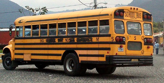 new bus to service