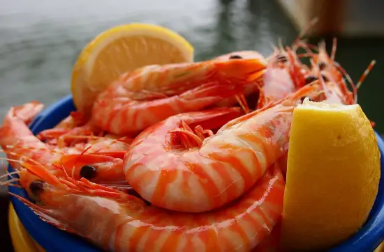 Where to eat in Port Douglas? On the Inlet with George the groper