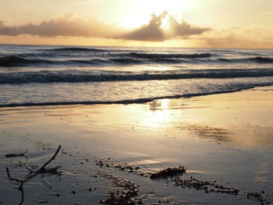 Where to eat in Port Douglas