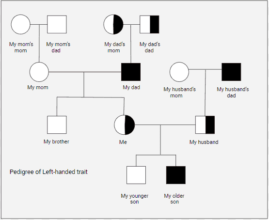 Tracing the pattern of left-handedness in my family