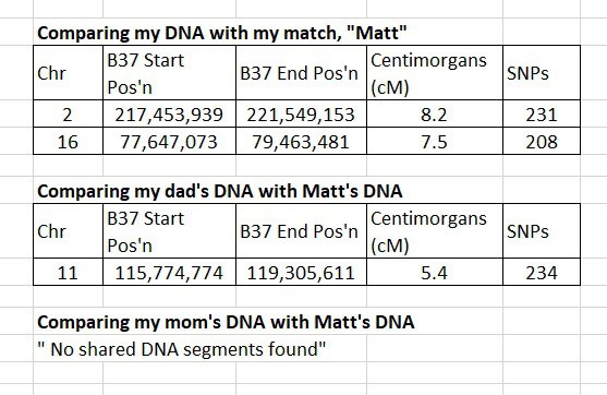 This image gives an example of a DNA match where multiple segments are false (IBS) and no segments are real (IBD)