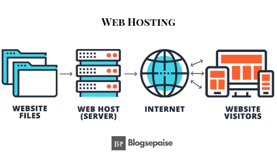 Web Hosting Reviews