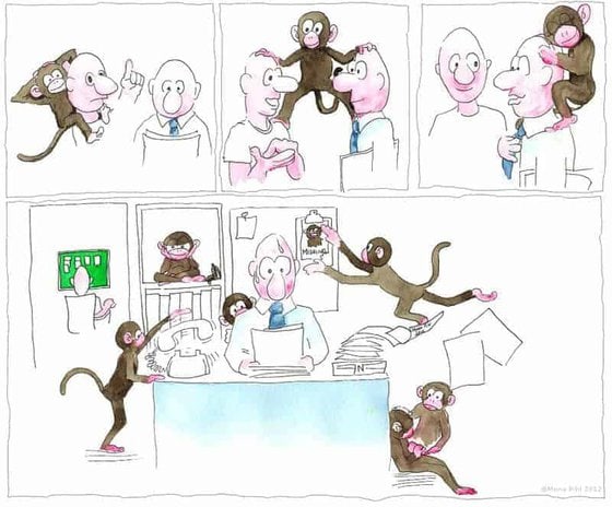 How to Balance Accountability vs. Responsibility When Leading Your Team 6 whose monkey is this? accountabilty vs. responsibility