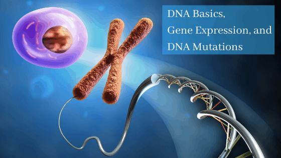 DNA Basics, Gene Expression, and DNA Mutations self-paced, online course
