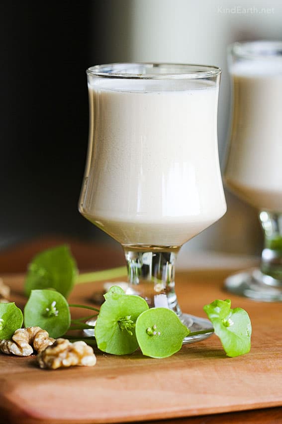 Walnut Milk for Brain Health, Heart Health & Surprising Stuff! Kind Earth