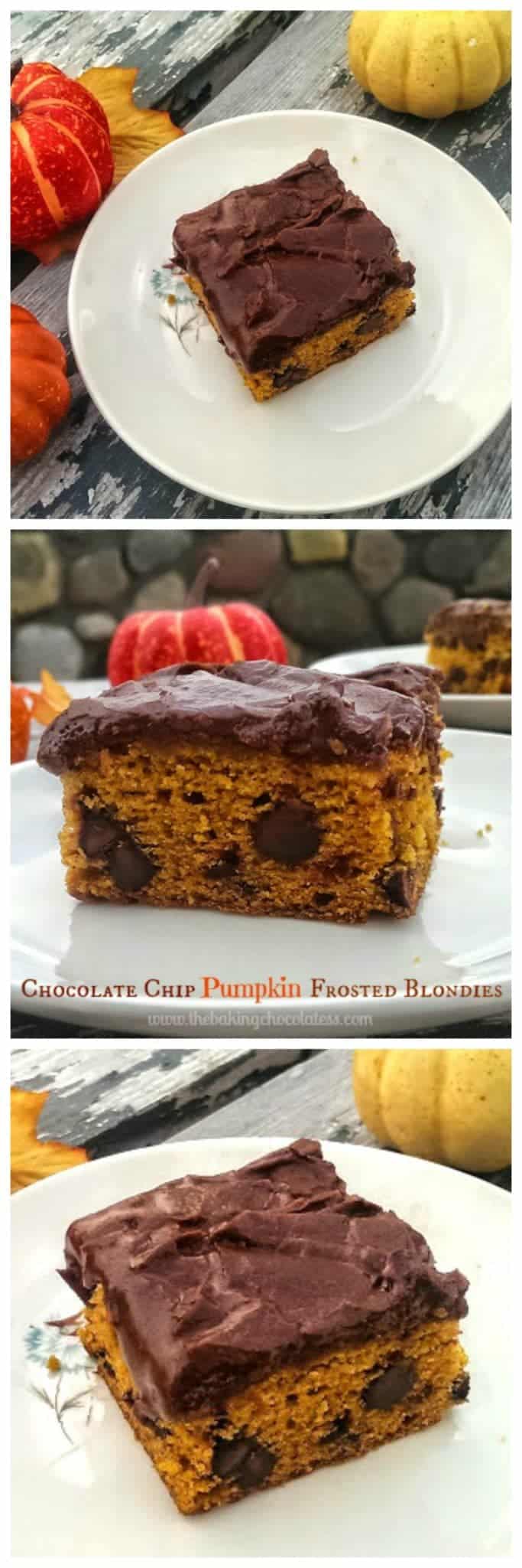 Chocolate Chip Pumpkin Frosted Blondies