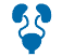 urologia