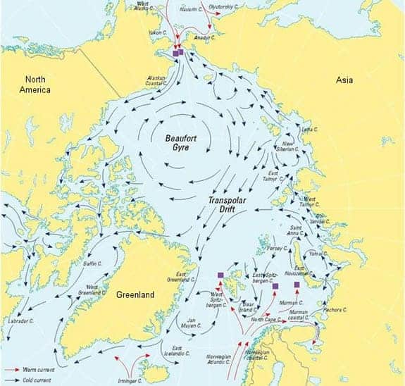 Arctic Ocean circulation. —Image courtesy of Arctic Monitoring and Assessment Programme (AMAP), Figure 3.29, AMAP (1998).