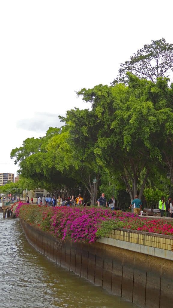 Promenade direkt am Brisbane River
