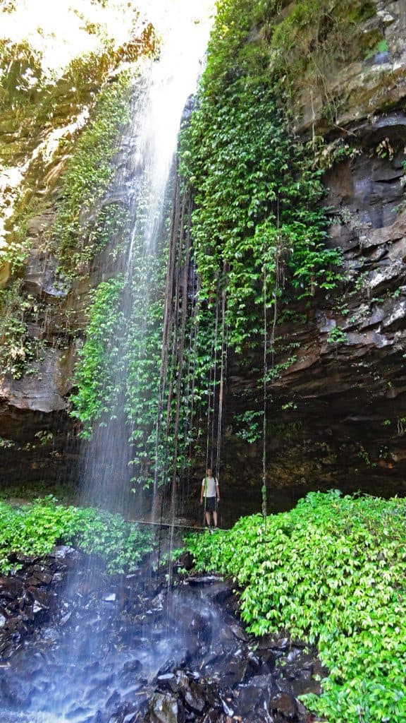 Crystal Shower Falls im Dorrigo Nationalpark