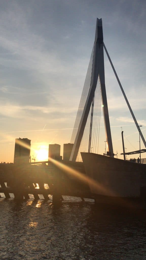 Erasmusbrug a Rotterdam