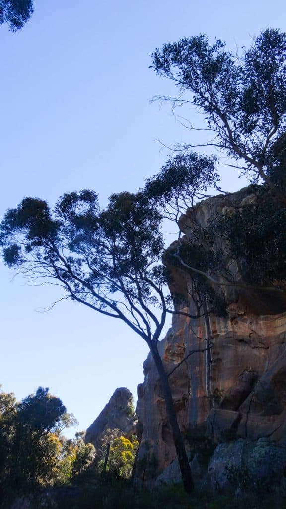 Wonderland Walk- der Weg Richtung Halls Gap, Grampians Nationalpark Australien
