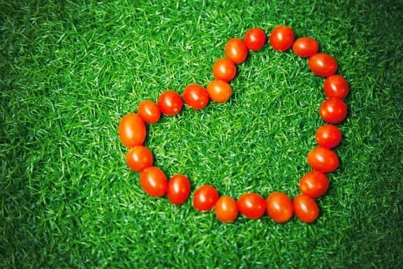 tomaten