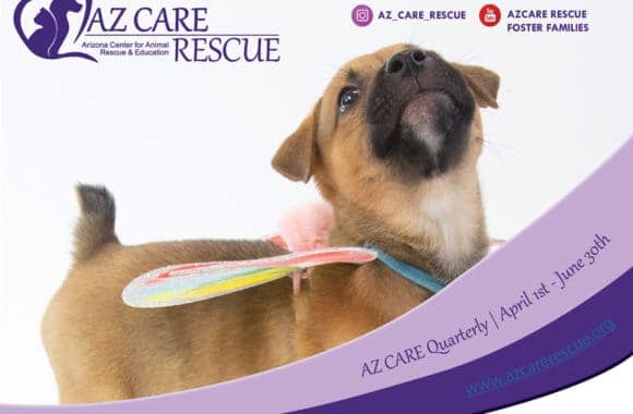 Home Az Care Rescue